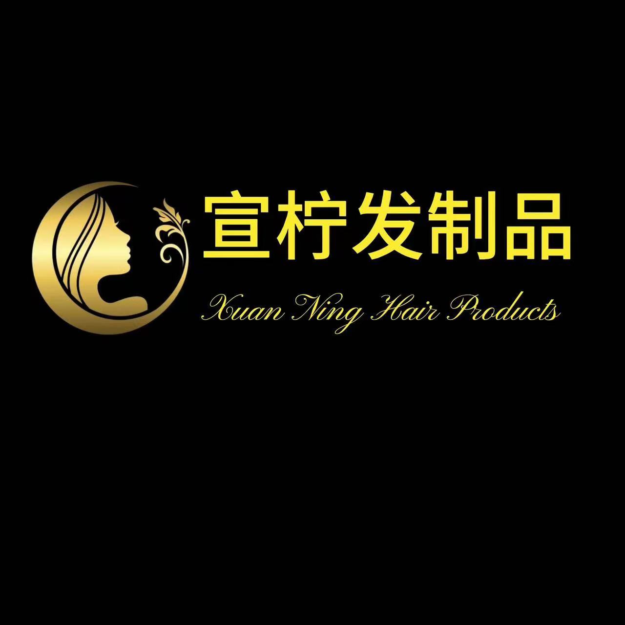 Logo Gobsis Sa