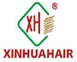 Logo Gobsis Sa